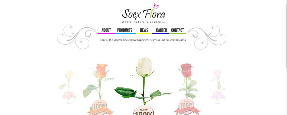 Soex Flora 